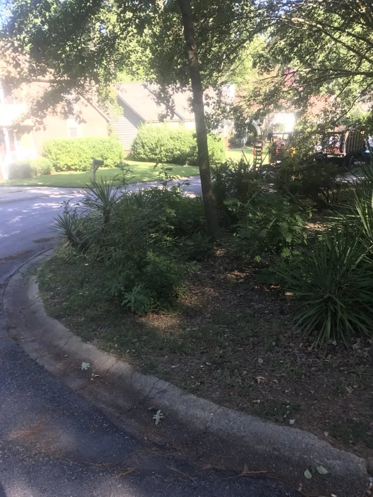 Expert yard maintenance in Irmo, SC by All Good Lawn & Tree Services