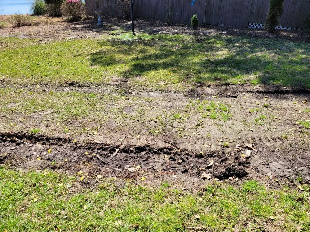 Trusted outdoor landscaping experts serving Irmo, SC - All Good Lawn & Tree Services