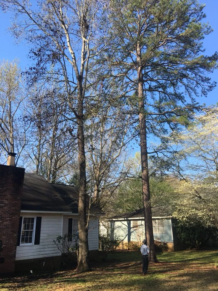 Professional landscape design near you in Irmo, SC by All Good Lawn & Tree Services