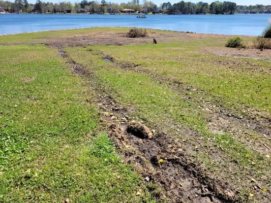 All Good Lawn & Tree Services