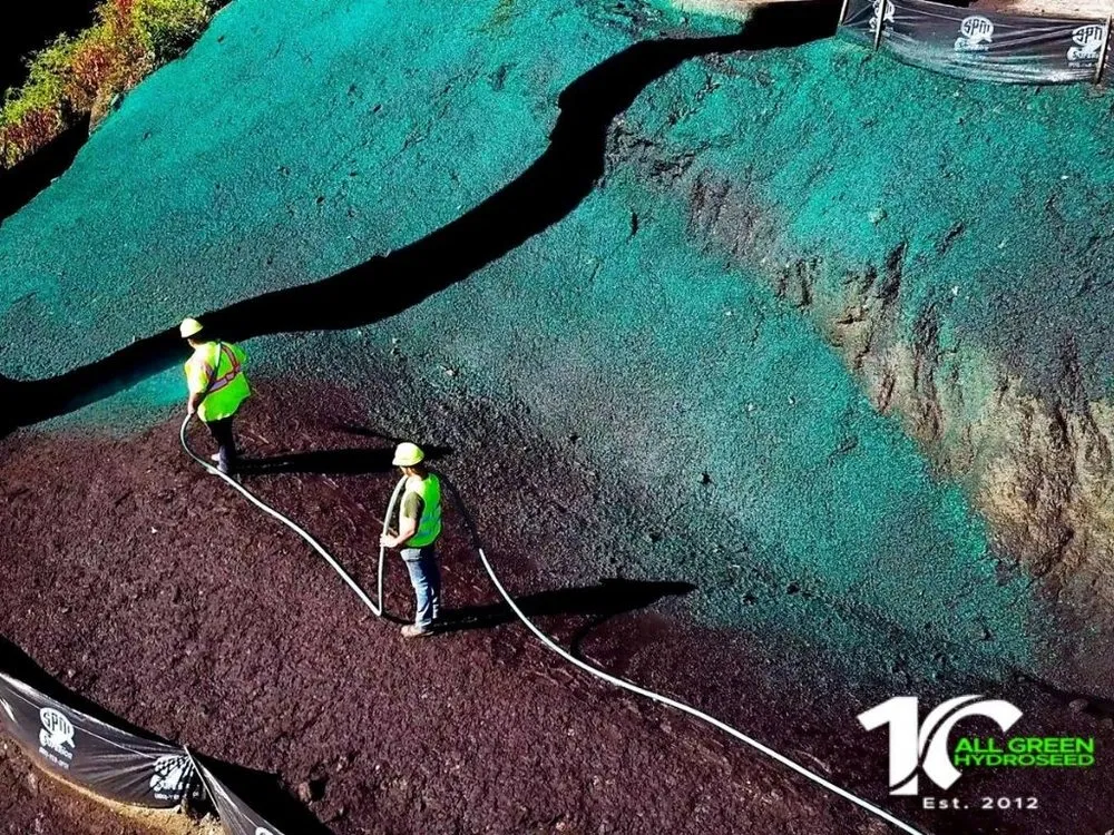 Professional lawn care service experts serving Terryville, CT - All Green Hydroseed