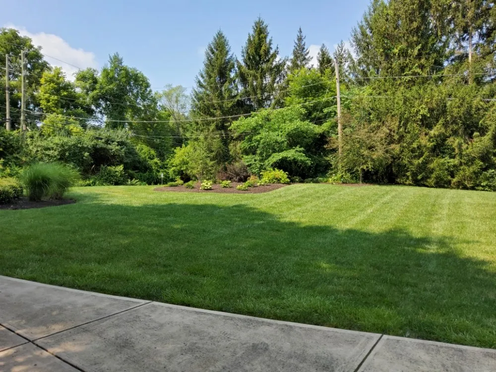 Affordable yard maintenance near you in Indianapolis, IN by All Green