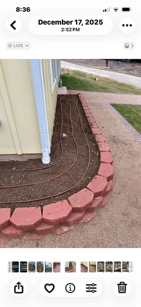 Expert lawn care service for residential properties across Rainbow, TX - All Green Irrigation
