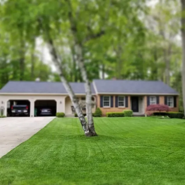 Reliable landscaping services for beautiful yards across Kalamazoo, MI - All Green