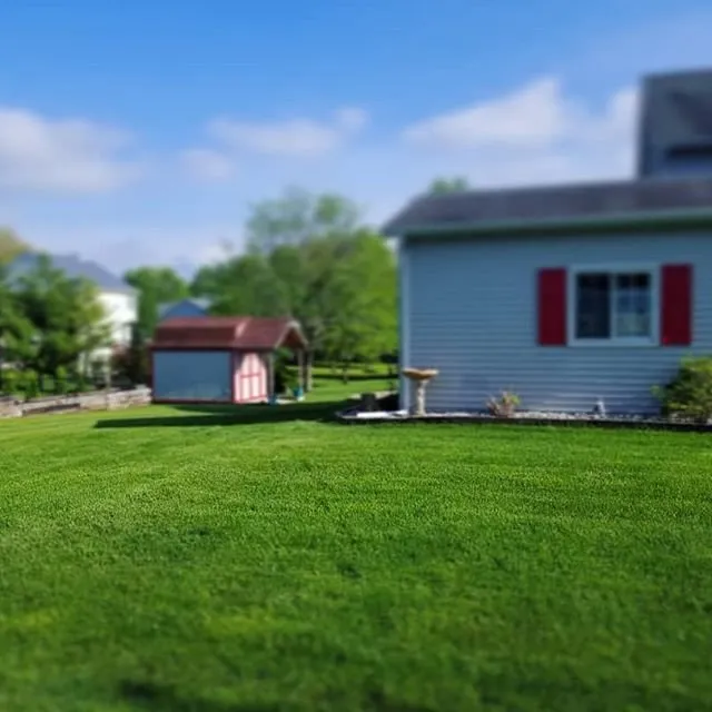 Professional landscape installation in Kalamazoo, MI by All Green