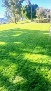 Reliable landscaping services in Coachella, CA by All Green Land Cape