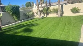 Custom lawn mowing service for outdoor upgrades across Coachella, CA - All Green Land Cape