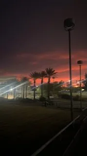 All Green Land Cape Logo