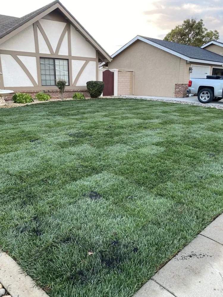 Top-rated lawn care service with custom design in Santa Maria, CA by All Green Landscape & Maintenance