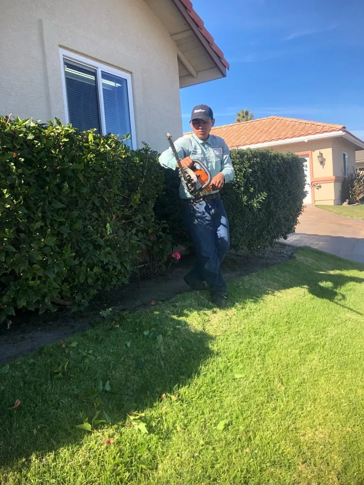 Affordable yard cleanup service in Santa Maria, CA by All Green Landscape & Maintenance