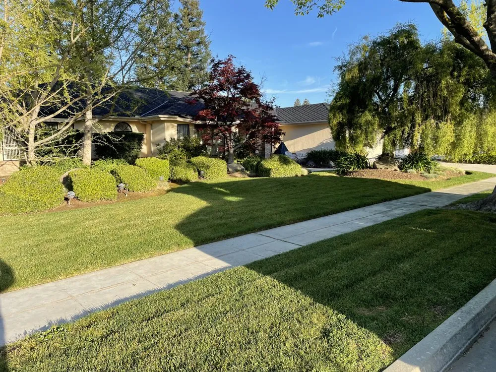 Affordable outdoor landscaping for beautiful yards in Fresno, CA by All Green Landscape