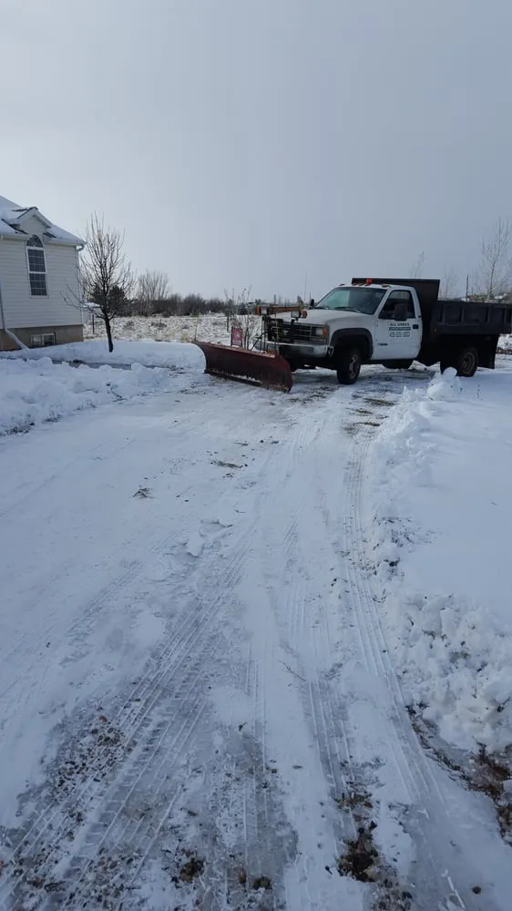 Custom yard cleanup service for residential properties across Cedar City, UT - All Green Landscape Management