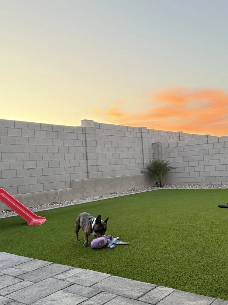 Expert lawn mowing service in Phoenix, AZ by All Green Landscapes