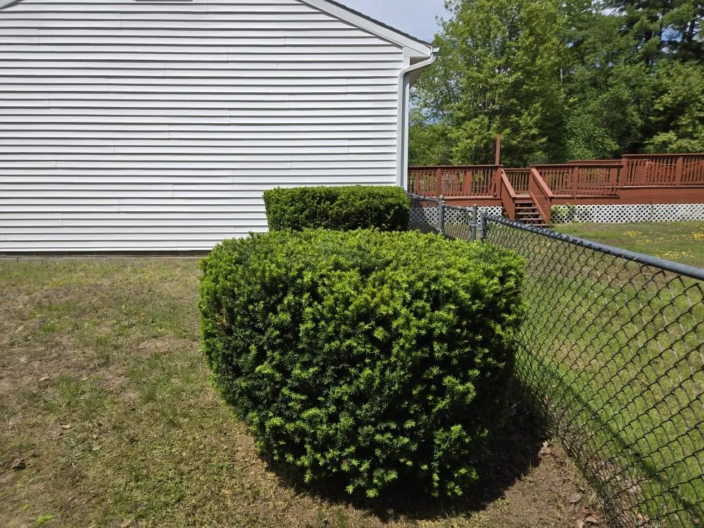 Trusted yard cleanup service experts serving Gansevoort, NY - All Green Landscaping & Property Maintenance