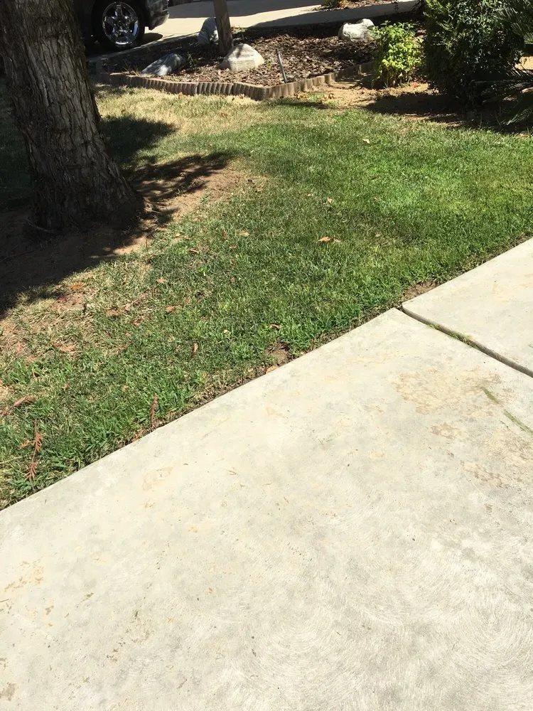 Trusted garden landscaping in Fresno, CA by All Green Landscaping And Tree Service