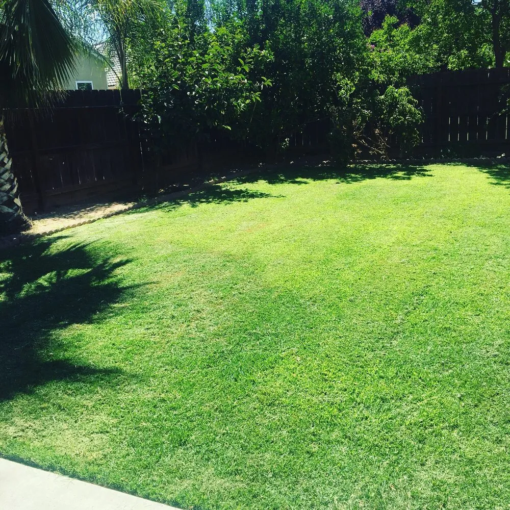 Top-rated landscape design in Fresno, CA by All Green Landscaping And Tree Service