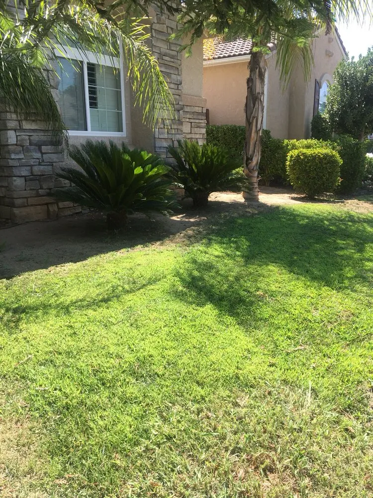 Custom garden landscaping for homes in Fresno, CA by All Green Landscaping And Tree Service