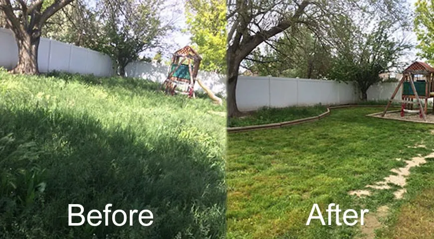 Reliable landscape installation experts serving Colorado Springs, CO - All Green Landscaping