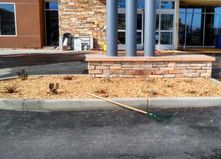 Trusted lawn care service for beautiful yards in Wilton, CA by All Green Landscaping