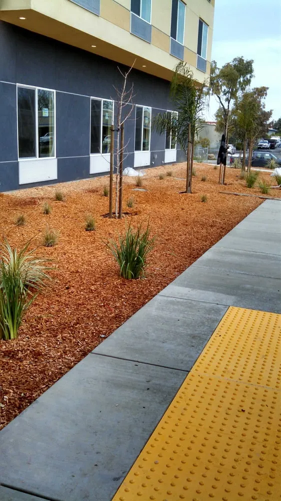 Top-rated yard maintenance in Wilton, CA by All Green Landscaping