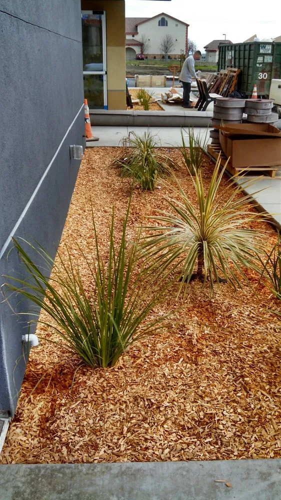 Affordable outdoor landscaping near you across Wilton, CA - All Green Landscaping