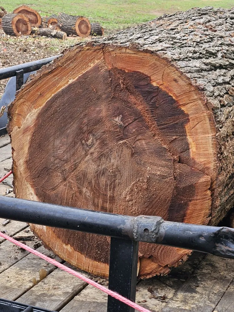 Affordable landscaping services in Lorena, TX - All Green Lawn & Landscape