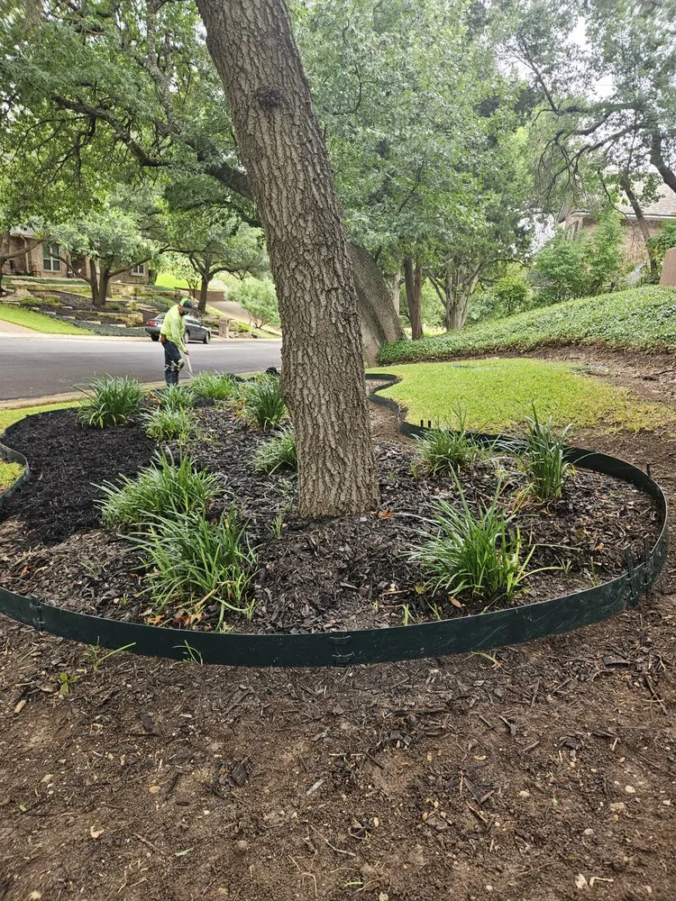 Trusted yard cleanup service in Lorena, TX by All Green Lawn & Landscape