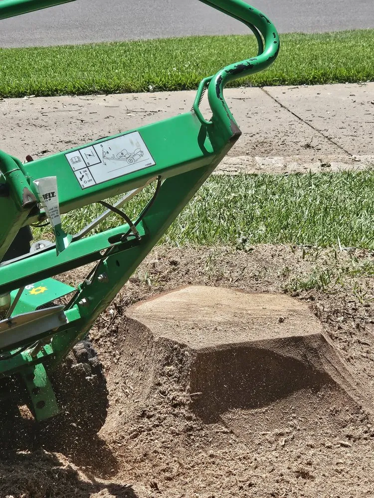 Professional yard cleanup service near you in Lorena, TX by All Green Lawn & Landscape