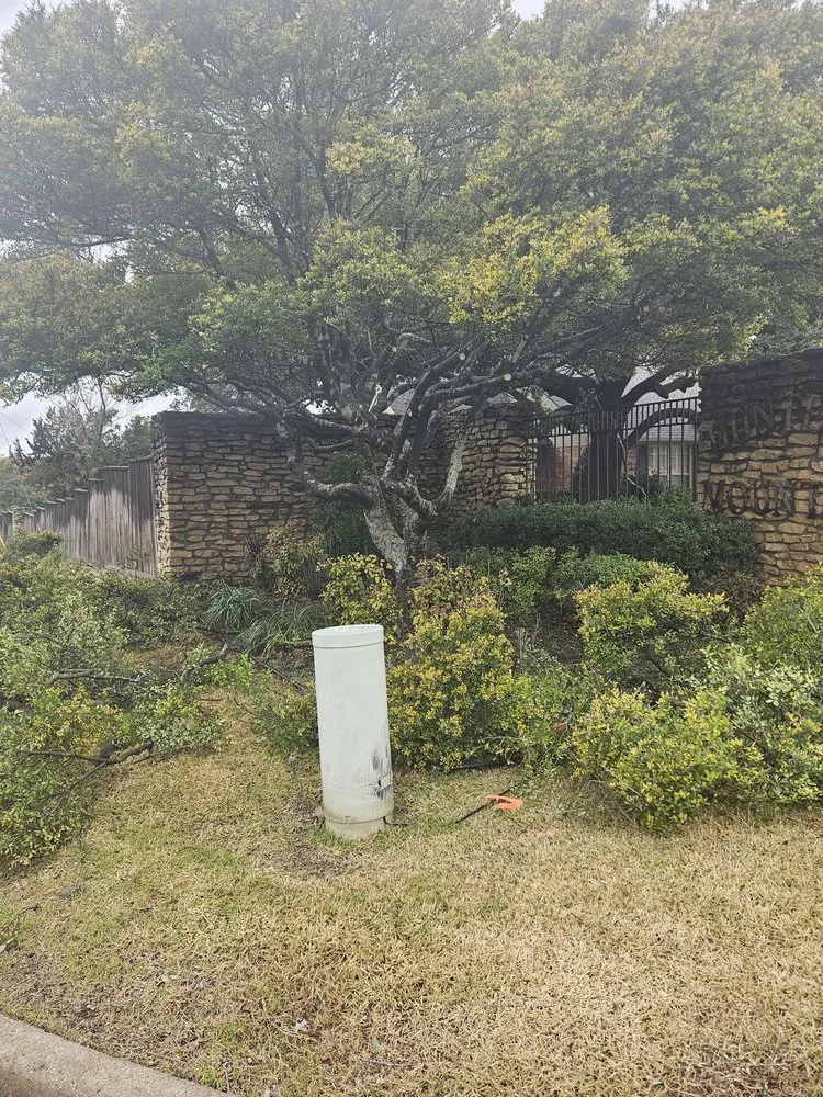 Local garden landscaping for year-round maintenance in Lorena, TX by All Green Lawn & Landscape