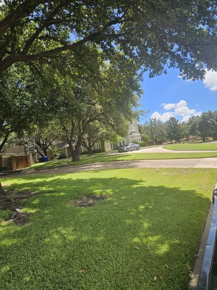 Affordable yard cleanup service in Lorena, TX by All Green Lawn & Landscape