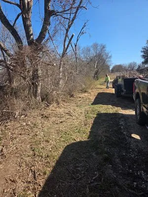 All Green Lawn & Landscape Logo