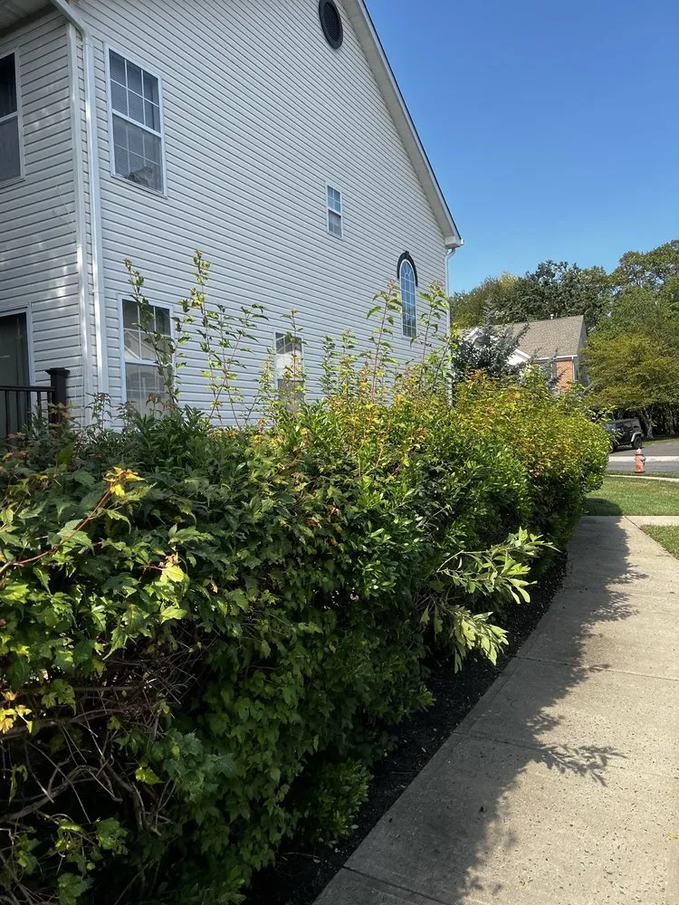 Local residential landscaping for homes in Freehold Township, NJ by All Green Lawn & Landscaping