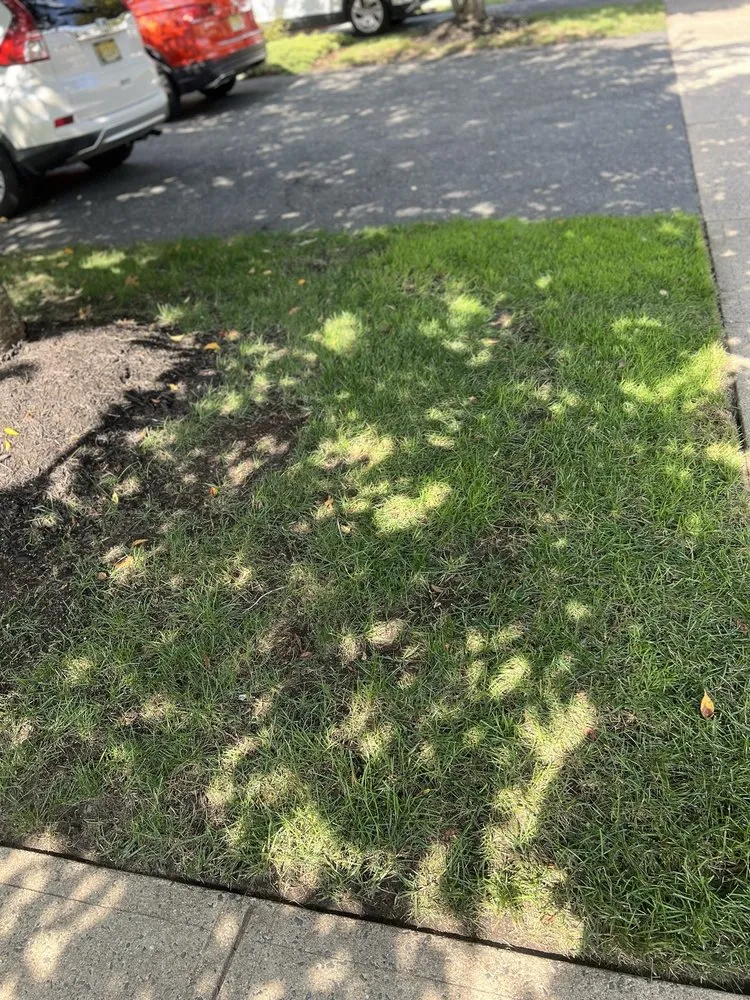 Custom residential landscaping with custom design in Freehold Township, NJ by All Green Lawn & Landscaping