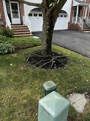 All Green Lawn & Landscaping Logo