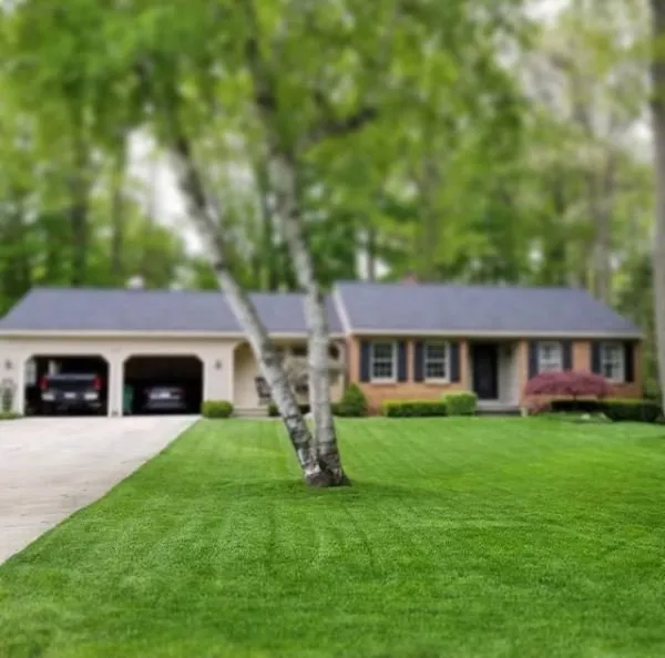 Local landscape design experts serving Jenison, MI - All Green Lawn Care