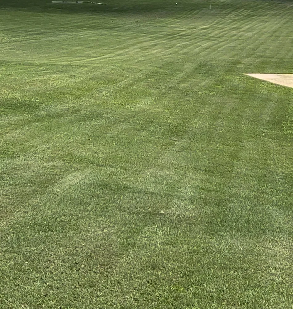 Top-rated yard maintenance for homes across Locust Grove, GA - All Green Lawn Care