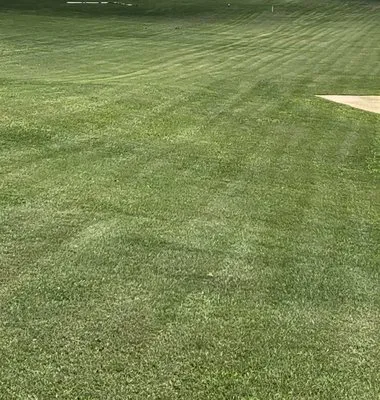 All Green Lawn Care Logo