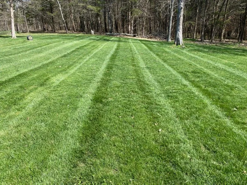 Reliable landscape design in Osage Beach, MO - All Green Lawn Care
