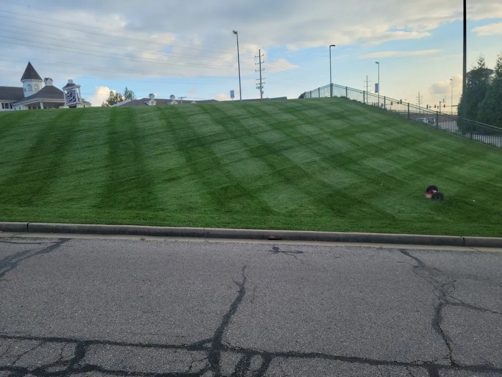 Local yard cleanup service for residential properties in Osage Beach, MO by All Green Lawn Care