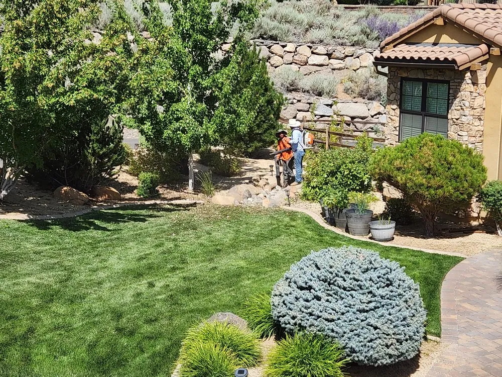 Trusted lawn care service for outdoor upgrades across Reno, NV - All Green Maintenance