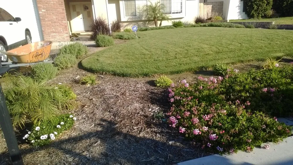 Expert landscaping services with custom design in Rialto, CA by All Green Maintenance