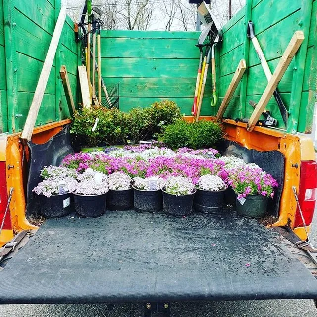 Custom yard maintenance experts serving Lodi, NJ - All Green nature