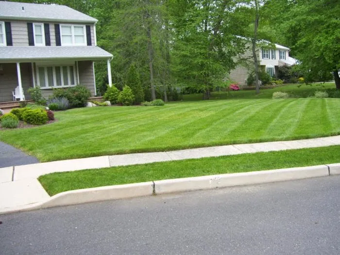 Reliable residential landscaping experts serving Lodi, NJ - All Green nature