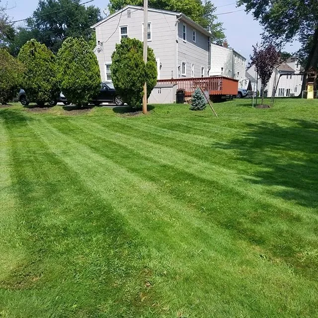 Custom garden landscaping in Lodi, NJ - All Green nature