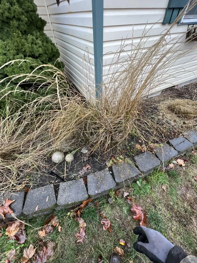 Custom garden landscaping in Lyons, OR by All Green Oregon