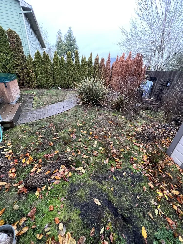 Expert yard maintenance near you in Lyons, OR by All Green Oregon