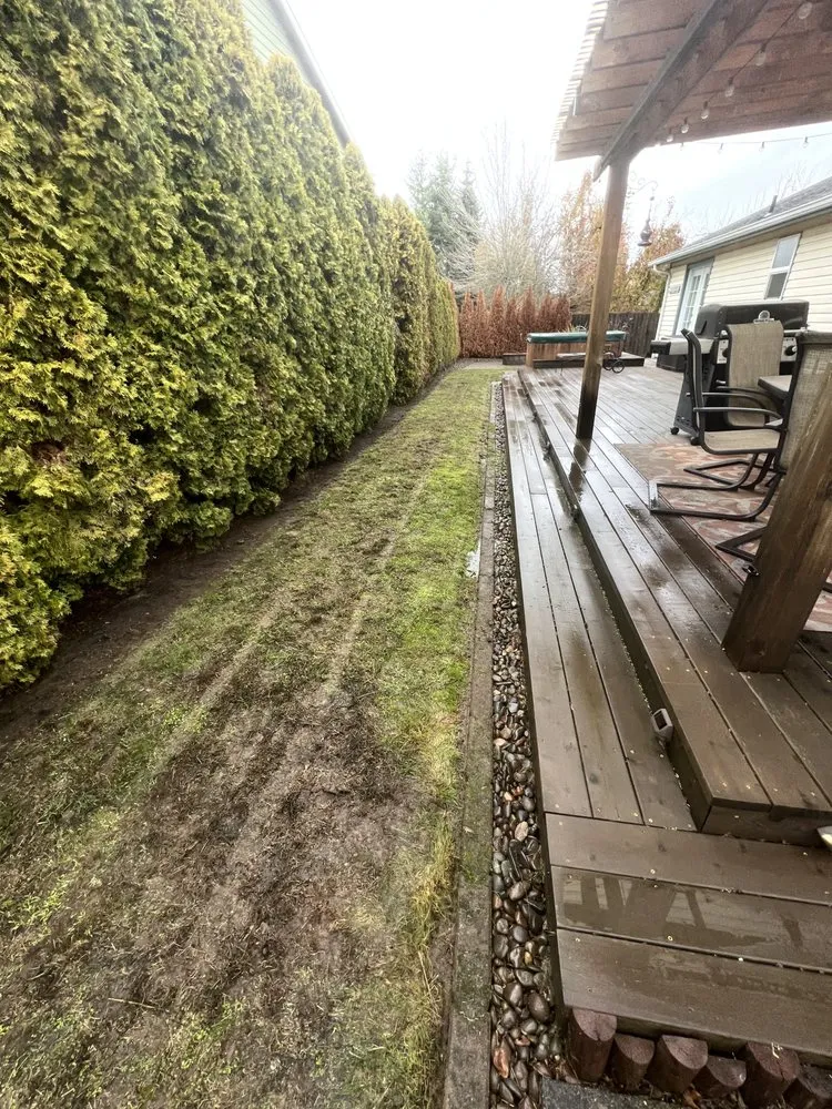 Trusted lawn care service experts serving Lyons, OR - All Green Oregon