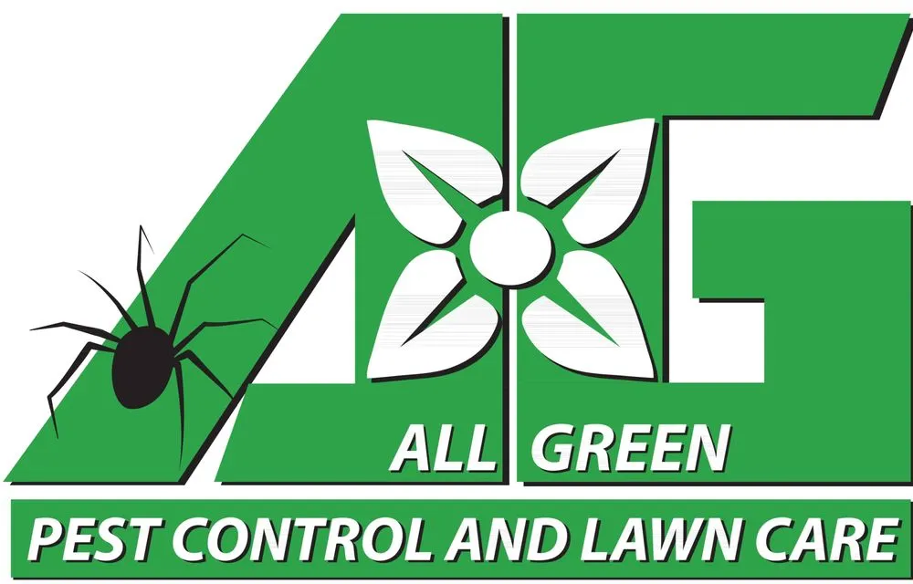 Expert yard cleanup service in Midvale, UT - All Green Pest Control and Lawn Care