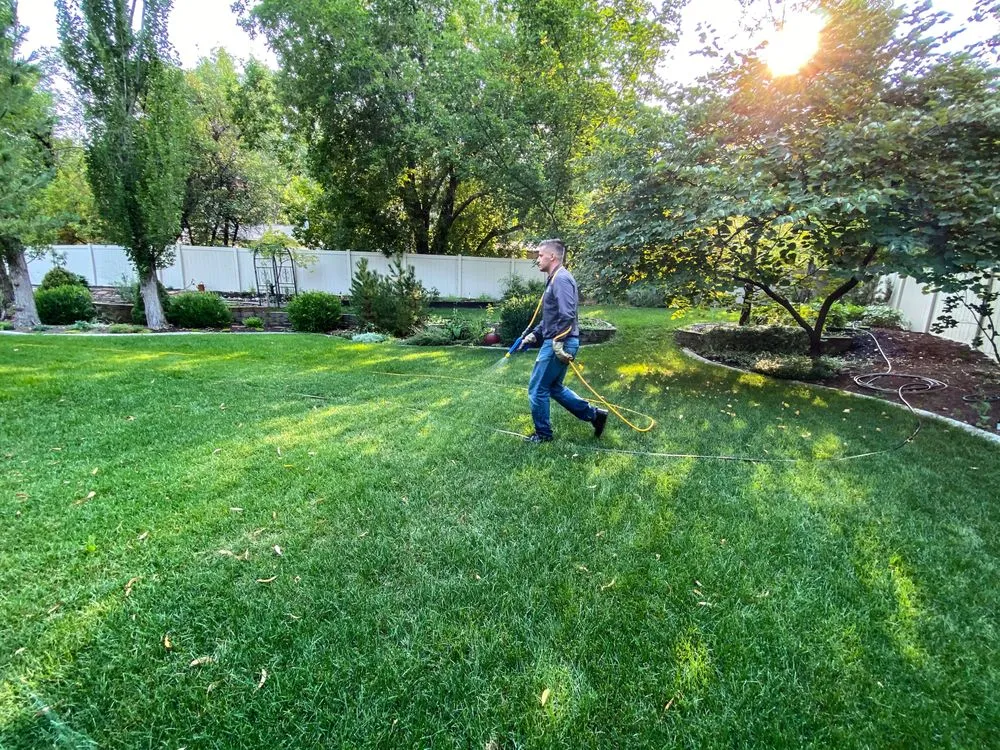 Trusted landscaping services in Provo, UT - All Green Pest Control and Lawn Care