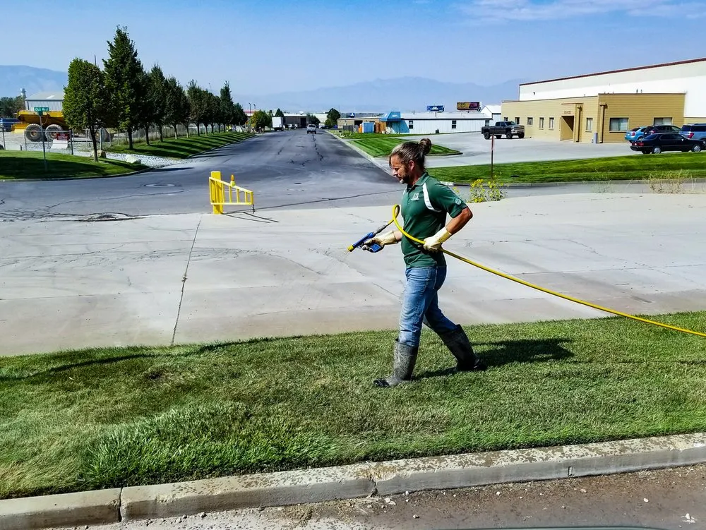 Professional yard cleanup service for residential properties in Provo, UT by All Green Pest Control and Lawn Care